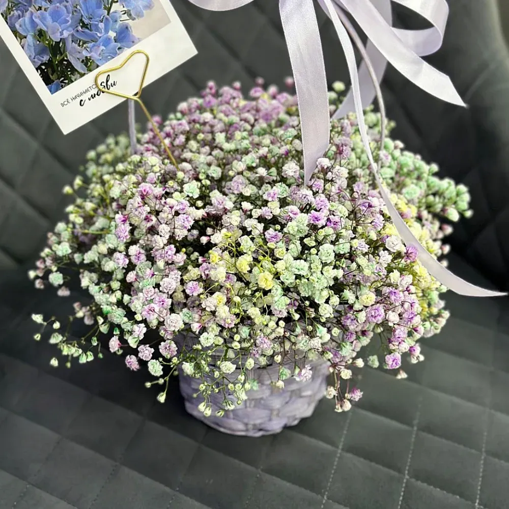 Корзины с гипсофилами