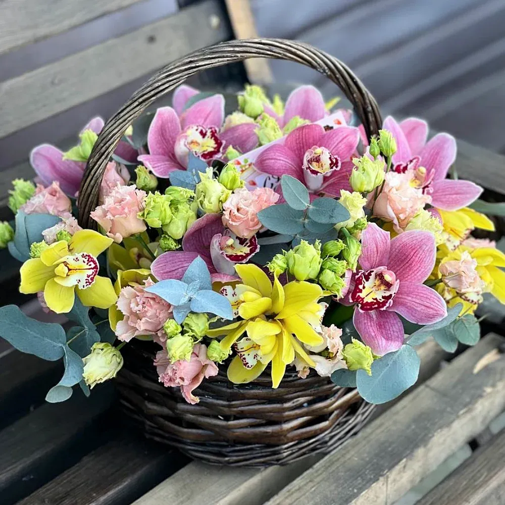 Корзины с орхидеями