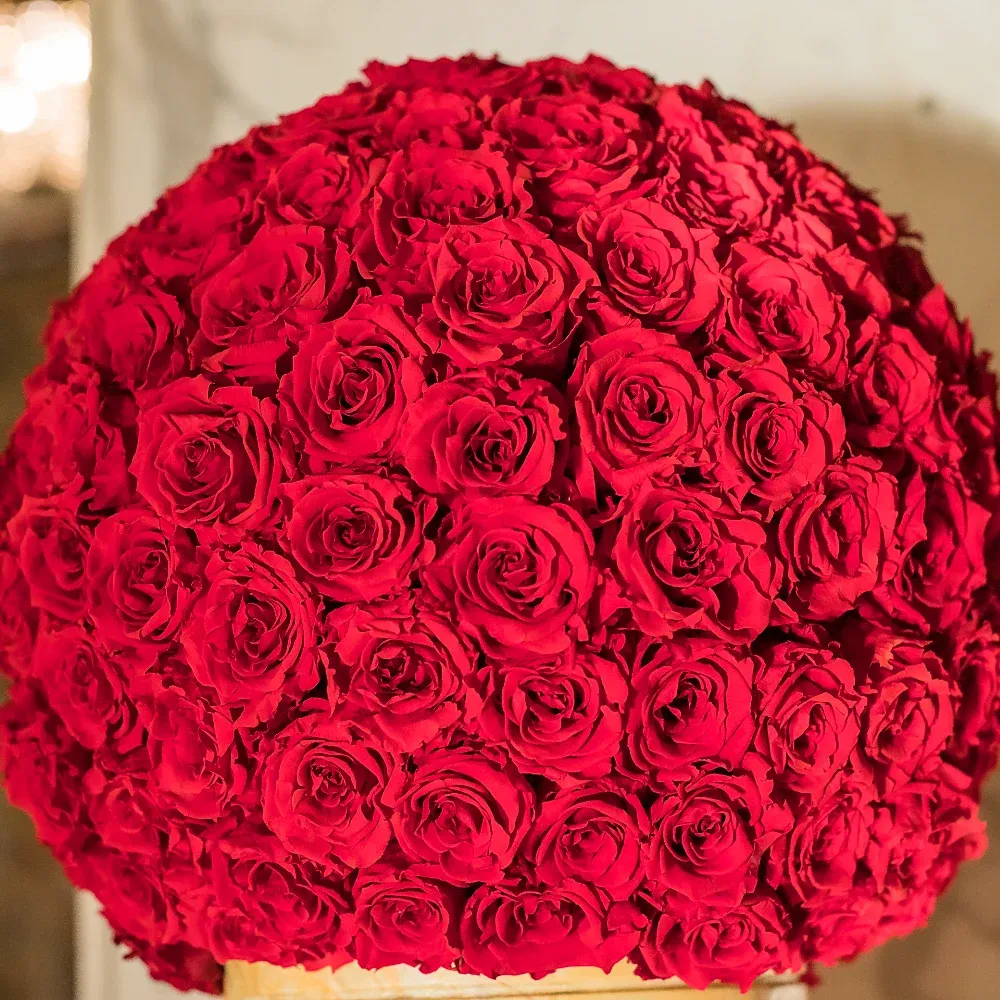 Красные (алые) розы