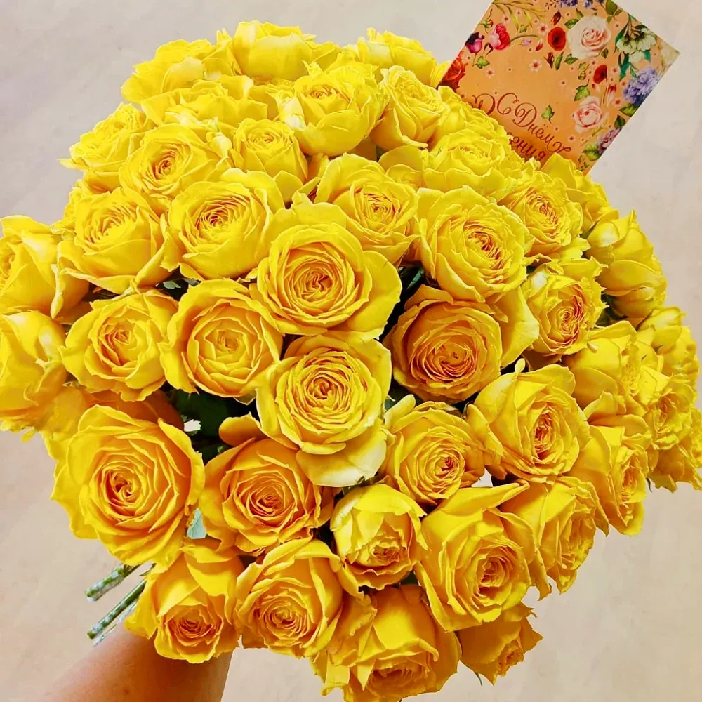 Желтые розы