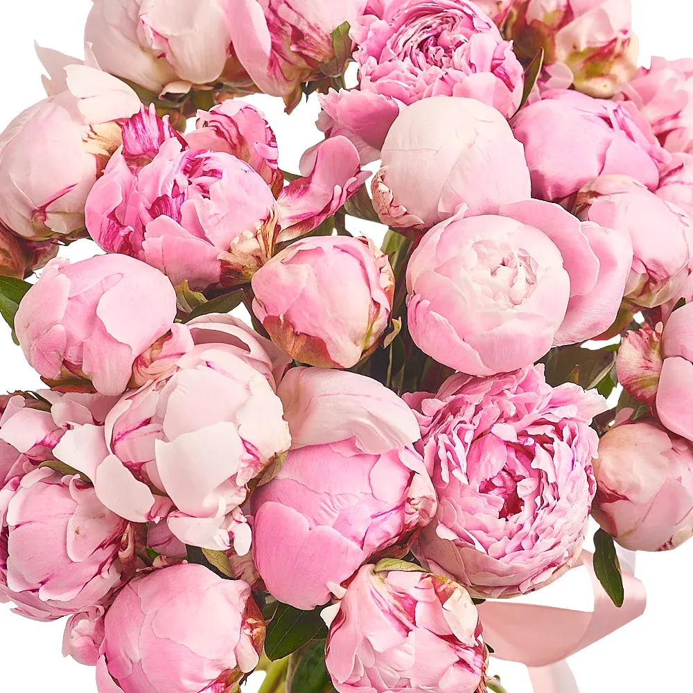 Букет из 25 розовых пионов