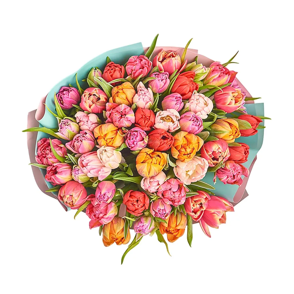 Букет из 51 пионовидного тюльпана
